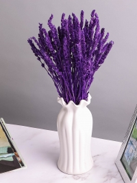 Железница стабилизированная 35см 30гр фиолетовый