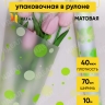 Пленка матовая Серпантин 70см x 10м жёлтый нежный/салатовый Пленка матовая Серпантин 70см x 10м жёлтый нежный/салатовый