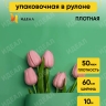 Пленка матовая 60см х 10м  на втулке виридиан светлый