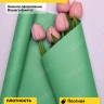 Пленка матовая 60см х 10м  на втулке виридиан светлый