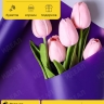 Пленка матовая 60см х 10м на втулке фиолетовый Пленка матовая 60см х 10м на втулке фиолетовый