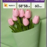 Пленка матовая 58см х 58см 60мкм 10 листов, фисташковый Пленка матовая 58см х 58см 60мкм 10 листов, фисташковый