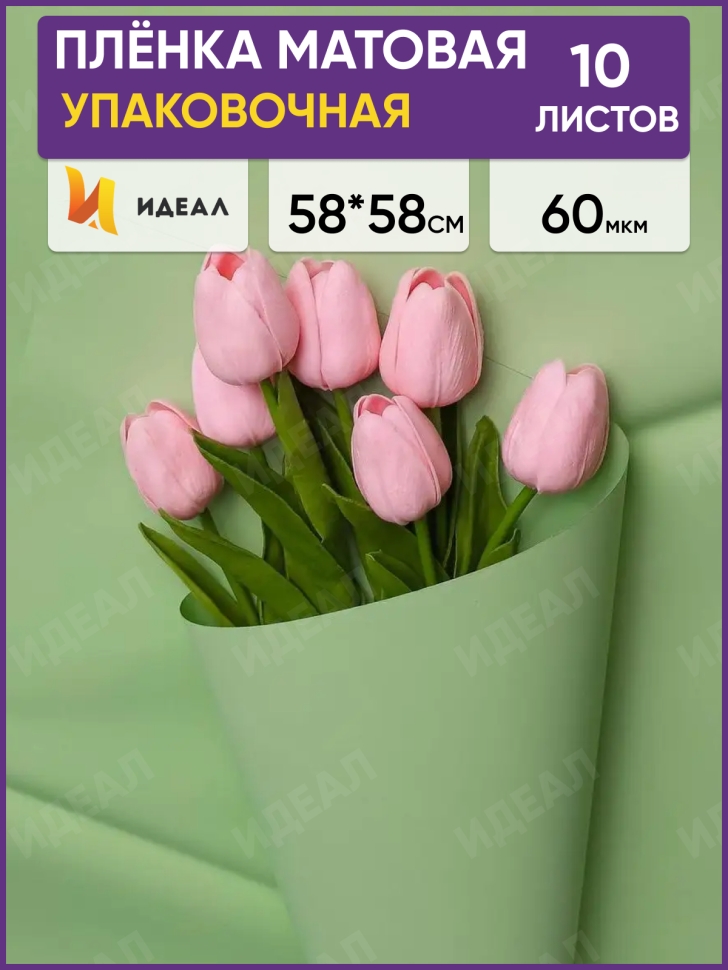 Пленка матовая 58см х 58см 60мкм 10 листов, фисташковый Пленка матовая 58см х 58см 60мкм 10 листов, фисташковый