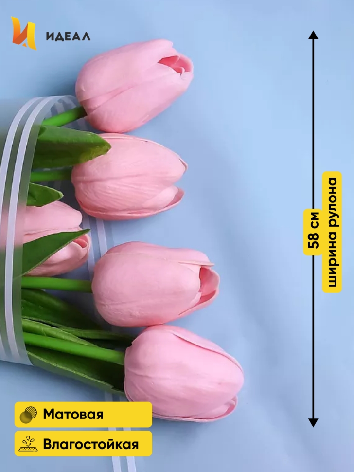 Пленка матовая 50мкм 58см х 10м РЦ прозрачный кант голубой Пленка матовая 50мкм 58см х 10м РЦ прозрачный кант голубой