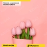 Пленка матовая 65мкм 58см х 10м Ассоль персиковый