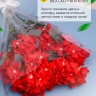 Пакет цветочный Конус 52/80 под гладиолус прозрачный/прозрачный 50 шт Пакет цветочный Конус 52/80 под гладиолус прозрачный/прозрачный 50 шт