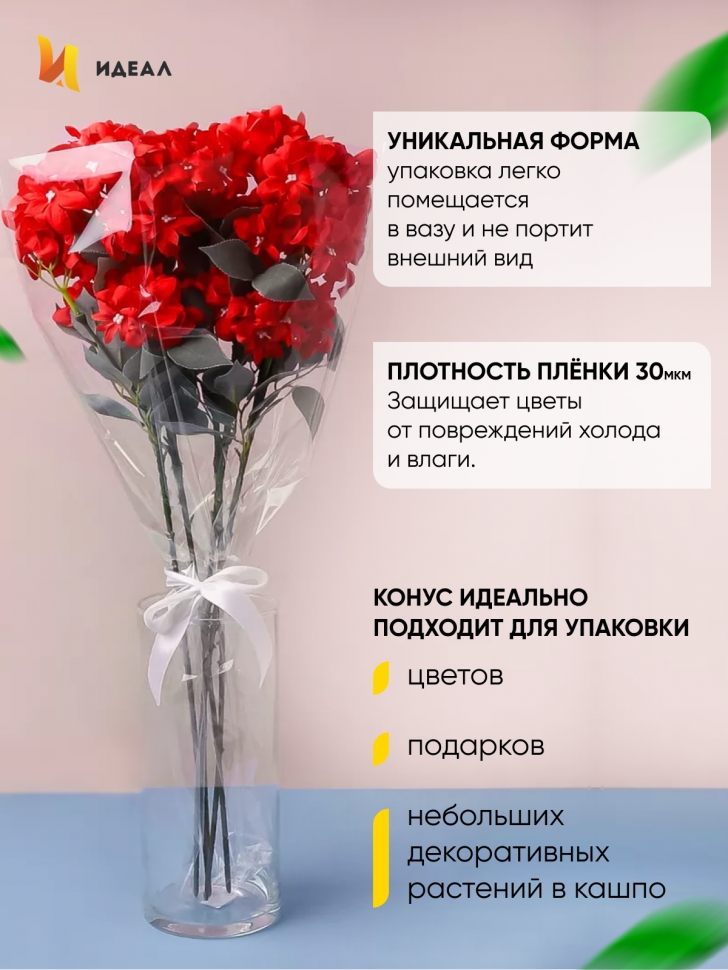 Пакет цветочный Конус 52/80 под гладиолус прозрачный/прозрачный 50 шт Пакет цветочный Конус 52/80 под гладиолус прозрачный/прозрачный 50 шт