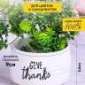 Кашпо керамика 10х10х6,5см Give thanks белый Кашпо керамика 10х10х6,5см Give thanks белый