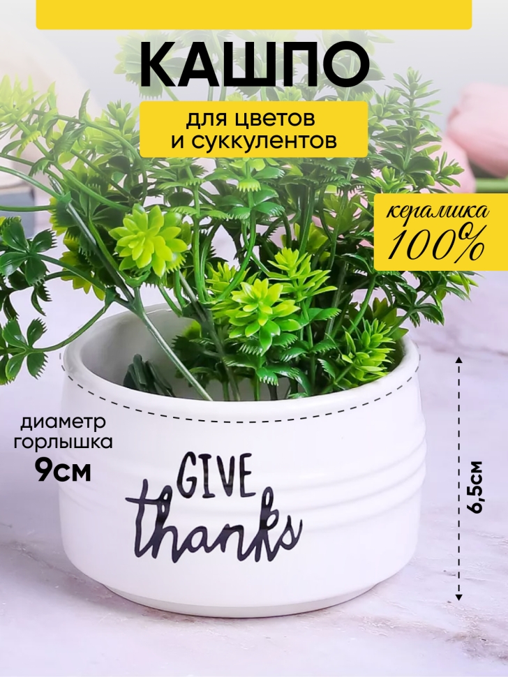 Кашпо керамика 10х10х6,5см Give thanks белый Кашпо керамика 10х10х6,5см Give thanks белый