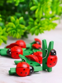 Прищепка Божья коровка 24шт. Biedronka 2 (1,5см)