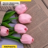 Пленка матовая 65мкм 58см х 10м РЦ газета крафт сиреневый Пленка матовая 65мкм 58см х 10м РЦ газета крафт сиреневый