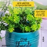 Кашпо керамика 10х10х6,5см Give thanks зеленый