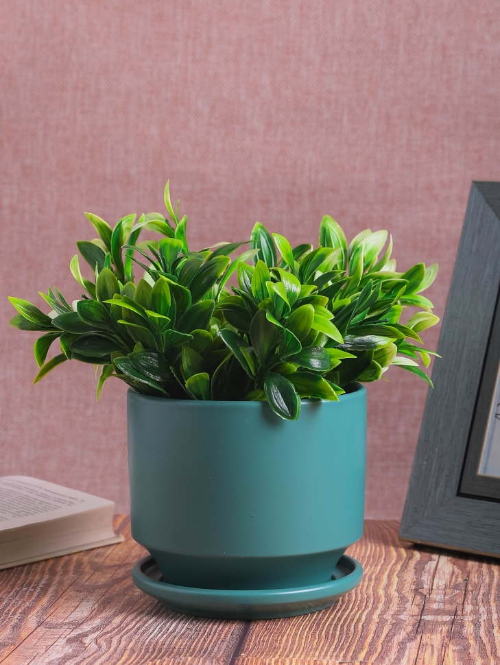 Кашпо керамика 14,2х14,2х12,6см JW7120000.15 зеленый Кашпо керамика 14,2х14,2х12,6см JW7120000.15 зеленый