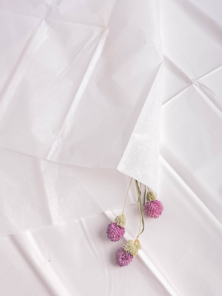 Бумага тишью 50х66см,10 лист. белый Бумага тишью 50х66см,10 лист. белый