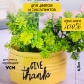 Кашпо керамика 10х10х6,5см Give thanks желтый Кашпо керамика 10х10х6,5см Give thanks желтый
