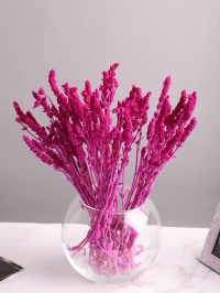 Железница стабилизированная 35см 30гр фуксия