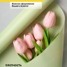 Пленка матовая 60см х 10м на втулке фисташковый пастель Пленка матовая 60см х 10м на втулке фисташковый пастель