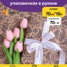 Бумага крафт 70г/м2. 72см х10м огуречный узор Бумага крафт 70г/м2. 72см х10м огуречный узор