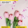 Пленка цветная Анютины глазки 70см бело-фуксия Пленка цветная Анютины глазки 70см бело-фуксия