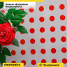 Пленка цветная Горох18 70см красный Пленка цветная Горох18 70см красный
