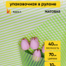 Пленка матовая Полоса Вертикаль 70см х 10м салатовый Пленка матовая Полоса Вертикаль 70см х 10м салатовый
