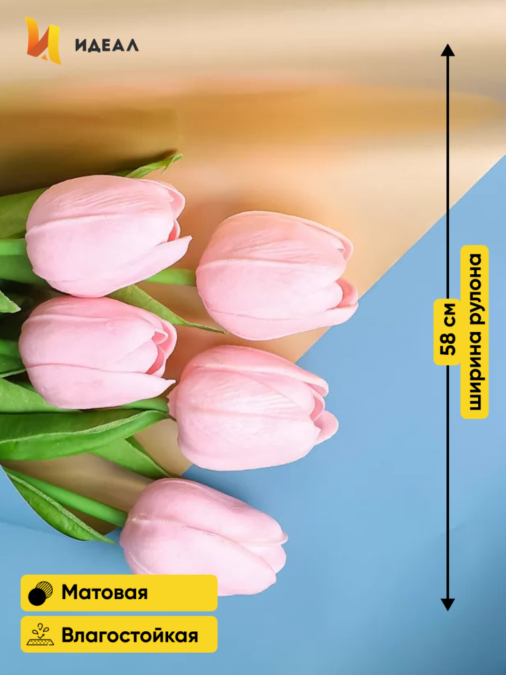 Пленка матовая 65мкм 58см х 10м РЦ Золото, виридиан Пленка матовая 65мкм 58см х 10м РЦ Золото, виридиан