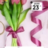 Лента атласная 25мм х 25 ярд  JD брусничный