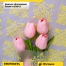 Пленка матовая 60см x 10м Нежность желтый нежный Пленка матовая 60см x 10м Нежность желтый нежный