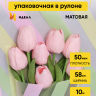 Пленка матовая Премиум 58см х 10м Радуга фисташковый