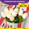 Бумага крафт 70г/м2. 50см х10м беленая Усы в очках