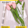Пленка цветная Горошины 70см белый Пленка цветная Горошины 70см белый
