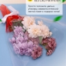 Пакет цветочный Конус 40/50 To be in love красный 50 шт Пакет цветочный Конус 40/50 To be in love красный 50 шт