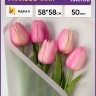 Пленка матовая 58смх58см 10 листов 50мкм РЦ фрост с каймой розовый Пленка матовая 58смх58см 10 листов 50мкм РЦ фрост с каймой розовый