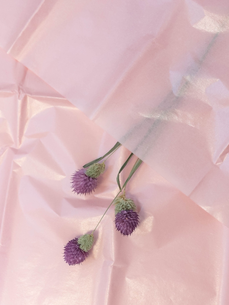 Бумага тишью жемчужная 50х66см,10 лист розовый Бумага тишью жемчужная 50х66см,10 лист розовый