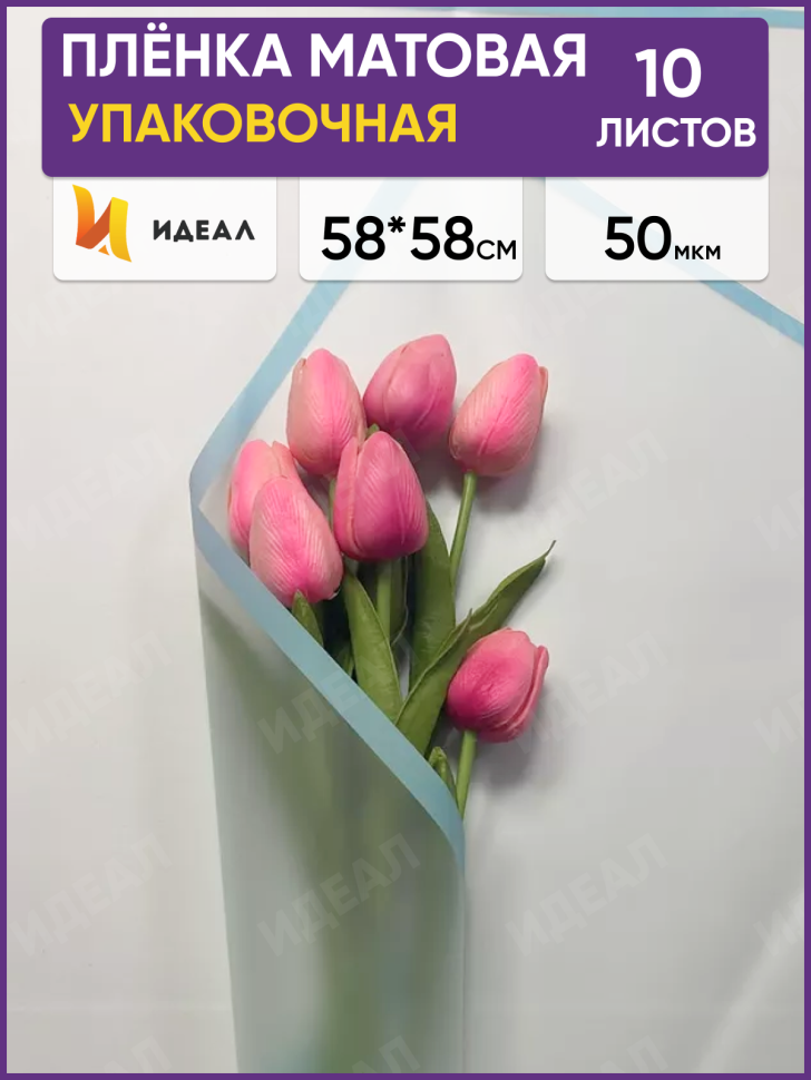 Пленка матовая 58смх58см 10 листов 50мкм РЦ фрост с каймой голубой