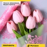 Пленка матовая 60см x 10м Нежность розовый туманный Пленка матовая 60см x 10м Нежность розовый туманный