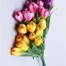 ИЦ Букет тюльпанов 34см SF804