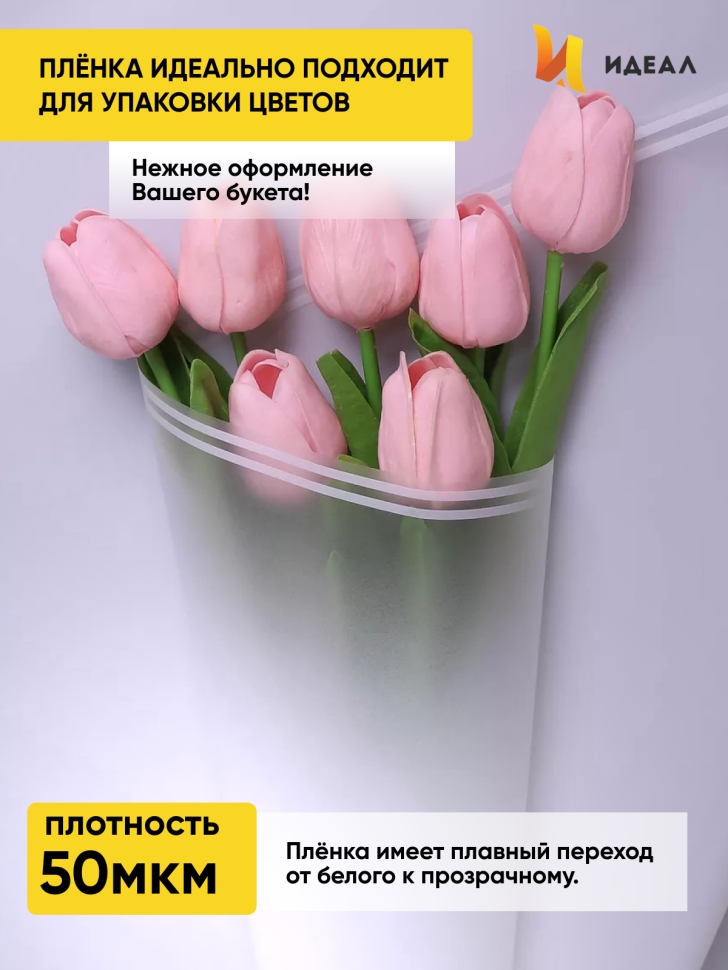 Пленка матовая 50мкм 58см х 10м РЦ прозрачный кант белый Пленка матовая 50мкм 58см х 10м РЦ прозрачный кант белый