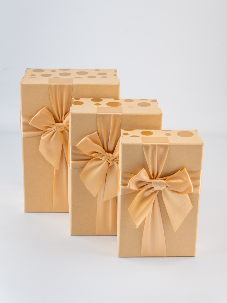 Коробка прямоугольник набор из 3шт 23х16х9,5см круг золото бежевый Коробка прямоугольник набор из 3шт 23х16х9,5см круг золото бежевый