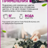 Подкормка для цветов Oasis FloraLife express univ 5 гр. упаковка 30шт. Подкормка для цветов Oasis FloraLife express univ 5 гр. упаковка 30шт.