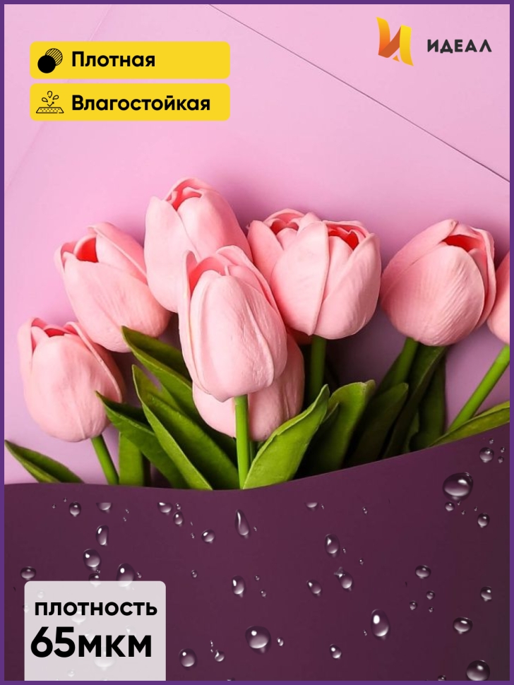 Пленка матовая 58смх58см 10 листов 65мкм РЦ двухцветная фиолет/орхидея