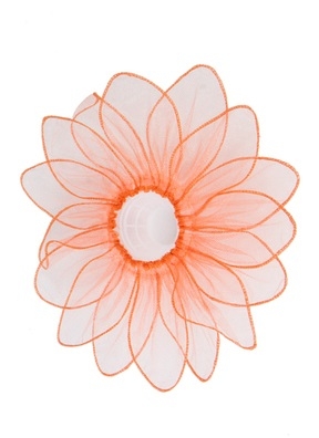 Манжетка ромашка оранжевая