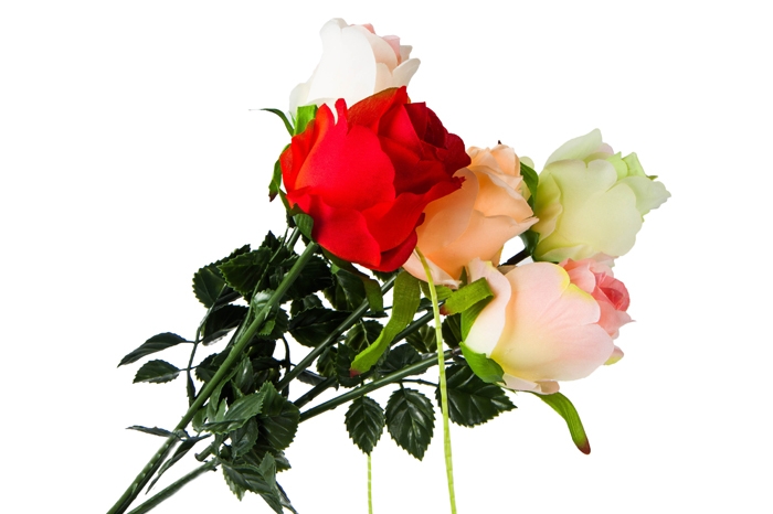 ИЦ Роза 50см "Виктория" микс