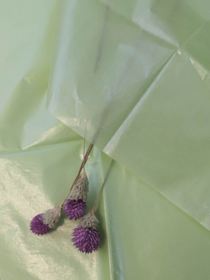 Бумага тишью жемчужная 50х66см,10 лист оливковый Бумага тишью жемчужная 50х66см,10 лист оливковый