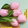 Пленка матовая 65мкм 58см х 10м РЦ Золото, мятный Пленка матовая 65мкм 58см х 10м РЦ Золото, мятный