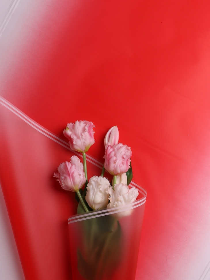 Пленка матовая 50мкм 58см х 10м прозрачный кант красный