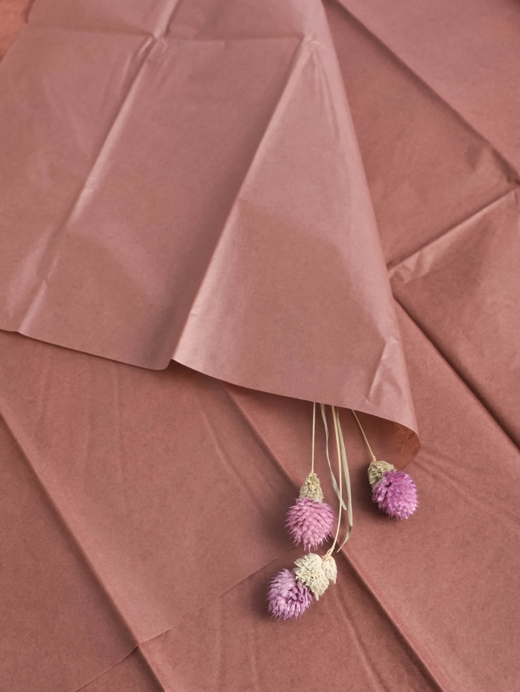 Бумага тишью  50х66см,10 лист. шоколадный