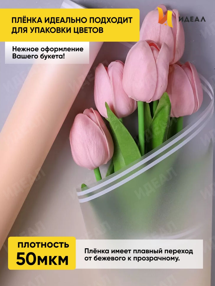 Пленка матовая  50мкм 58см х 10м РЦ прозрачный кант шампань