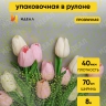 Пленка цветная Мошка 70см салатовый Пленка цветная Мошка 70см салатовый