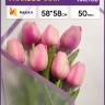 Пленка матовая 58смх58см 10 листов 50мкм РЦ фрост с каймой фиолетовый Пленка матовая 58смх58см 10 листов 50мкм РЦ фрост с каймой фиолетовый